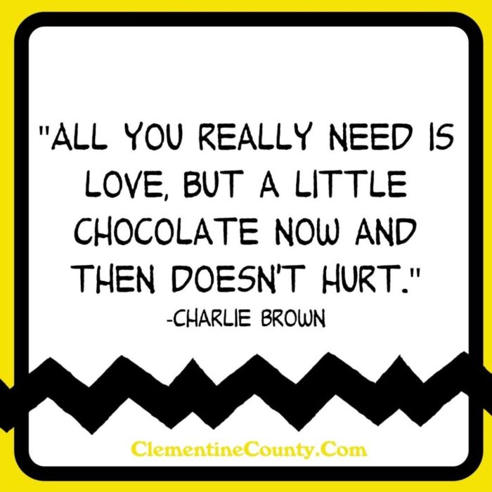 Charlie Brown Instagram Quote All You Really Need is Love